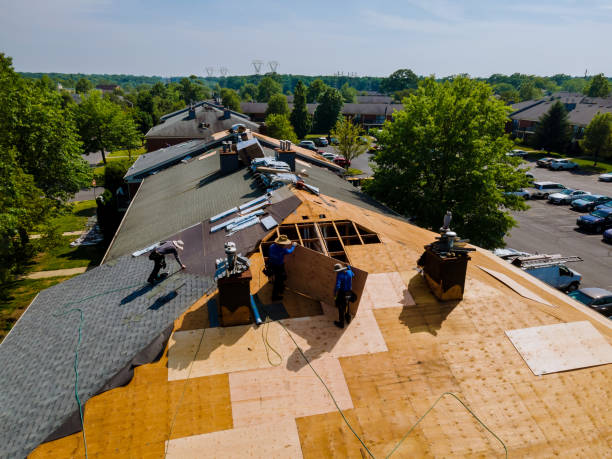Best Flat Roof Repair Services  in Groveland, FL