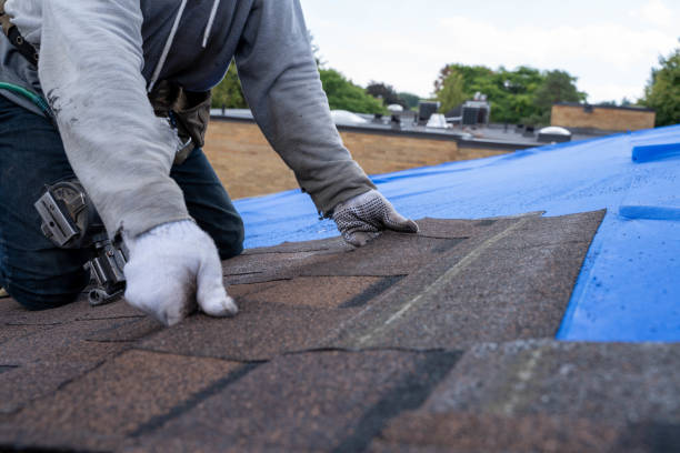 Best Roof Repair Services  in Groveland, FL