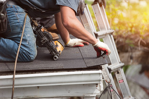 Best Storm Damage Roof Repair  in Groveland, FL